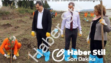 Dalaman Cezaevi’nde Tarımsal Dönüşüm: Sakız Ağaçları Toprakla Buluştu