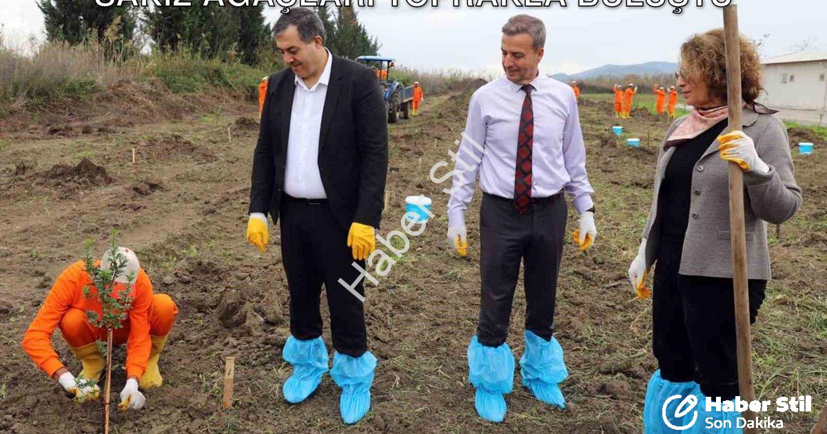 "Dalaman Cezaevi'nde Tarımsal Dönüşüm: Sakız Ağaçları Toprakla Buluştu" başlıklı haber için fotoreal