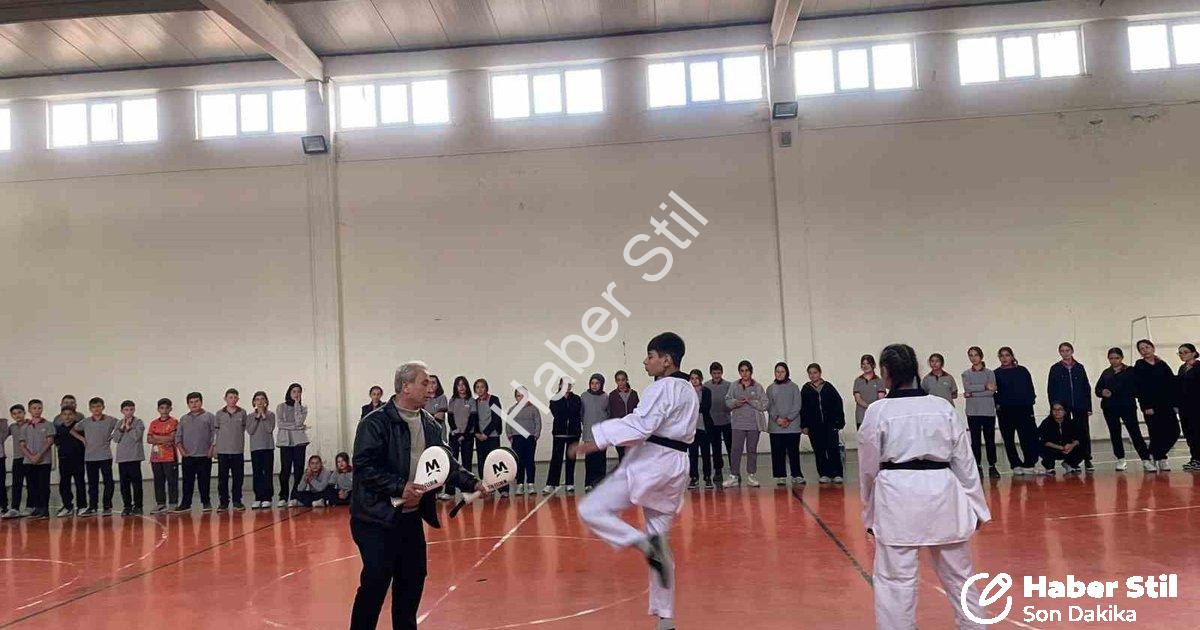 "Pazarlar'da Geleceğin Şampiyonları Yetişiyor: Dev Tekvando Projesi" başlıklı haber için fotorealist