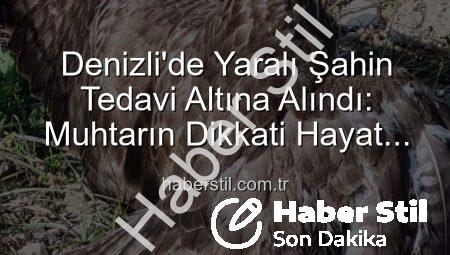 Denizli’de Yaralı Şahin Tedavi Altına Alındı: Muhtarın Dikkati Hayat Kurtardı