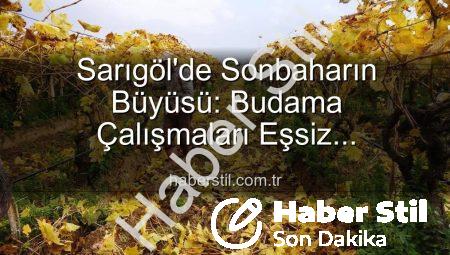 Sarıgöl’de Sonbaharın Büyüsü: Budama Çalışmaları Eşsiz Manzaralarla Sürüyor