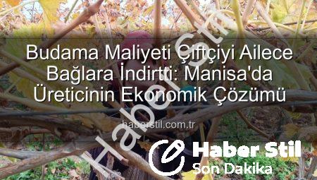 Budama Maliyeti Çiftçiyi Ailece Bağlara İndirtti: Manisa’da Üreticinin Ekonomik Çözümü