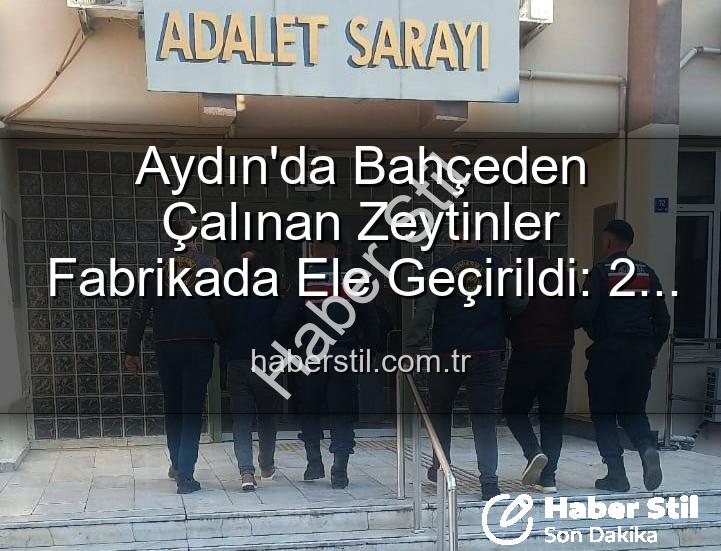 zeytin hırsızlığı - Aydın'da Bahçeden Çalınan Zeytinler Fabrikada Ele Geçirildi: 2 Şüpheli Tutuklandı