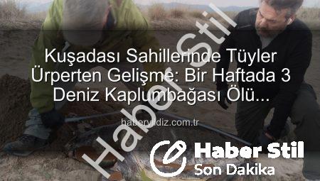 Kuşadası Sahillerinde Endişe Veren Vaka: Bir Haftada 3 Deniz Kaplumbağası Ölü Bulundu