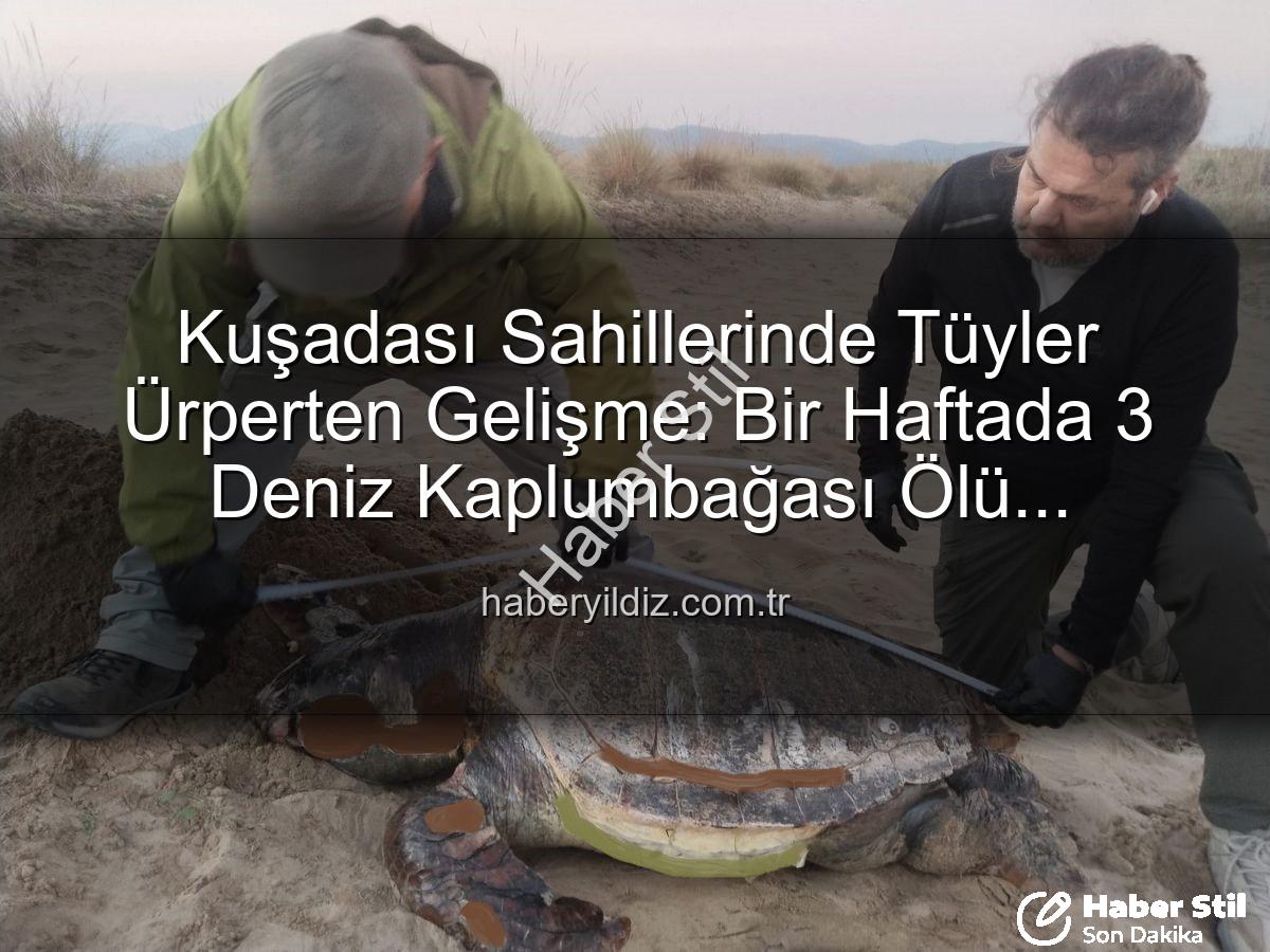 deniz kaplumbağası ölümleri - Kuşadası Sahillerinde Endişe Veren Vaka: Bir Haftada 3 Deniz Kaplumbağası Ölü Bulundu