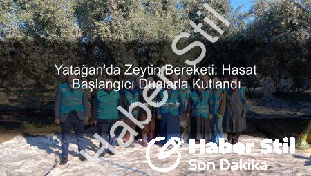 Yatağan’da Zeytin Bereketi: Hasat Başlangıcı Dualarla Kutlandı