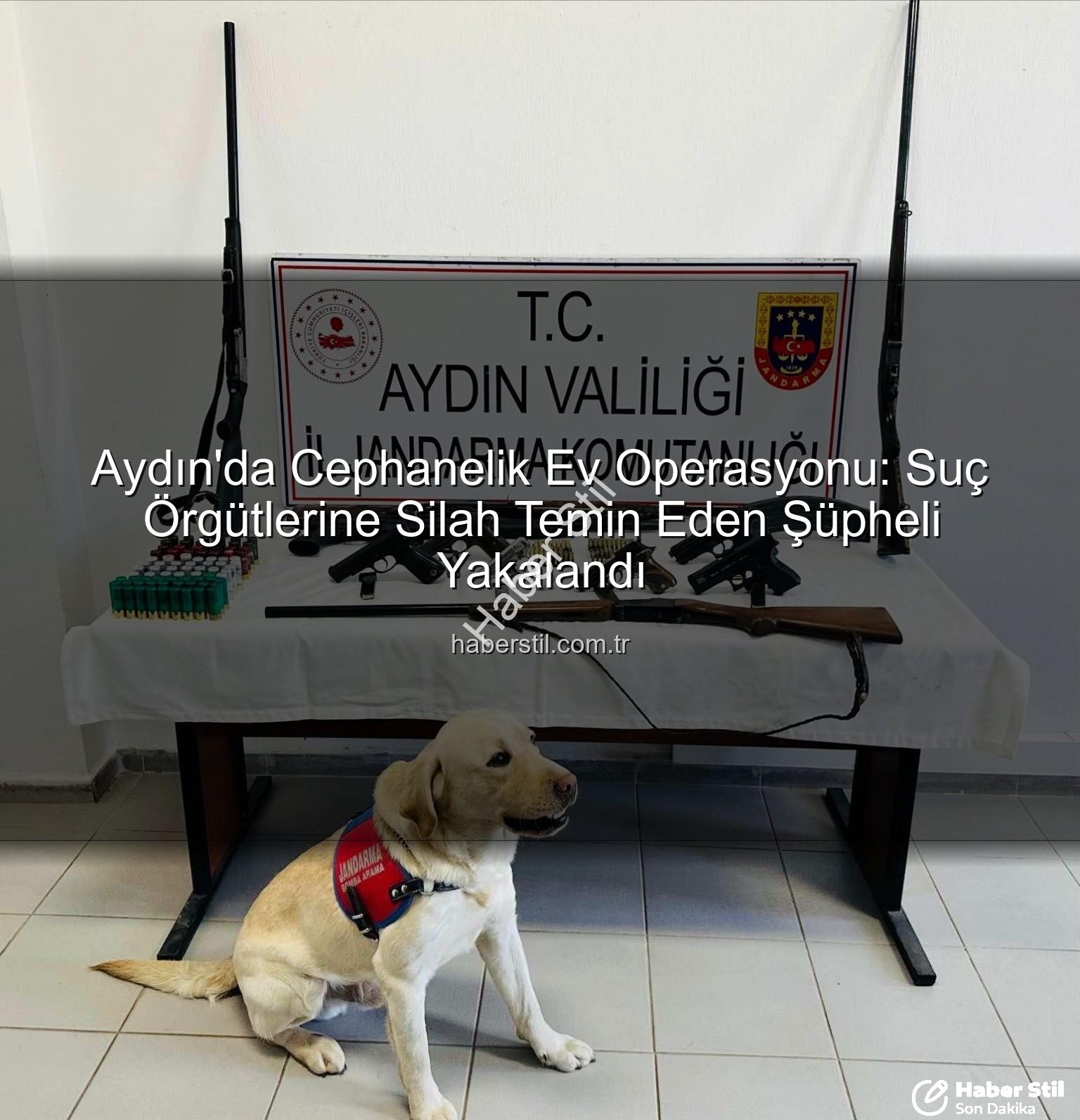 Aydın'da silah operasyonu - Aydın'da Cephanelik Ev Operasyonu: Suç Örgütlerine Silah Temin Eden Şüpheli Yakalandı