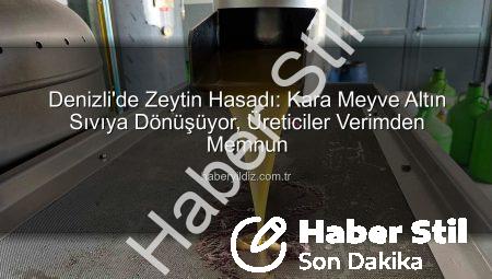 Denizli’de Zeytin Hasadı: Kara Meyve Altın Sıvıya Dönüşüyor, Üreticiler Verimden Memnun