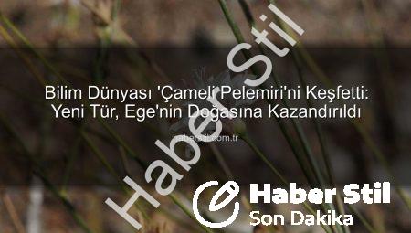 Bilim Dünyası ‘Çameli Pelemiri’ni Keşfetti: Yeni Tür, Ege’nin Doğasına Kazandırıldı