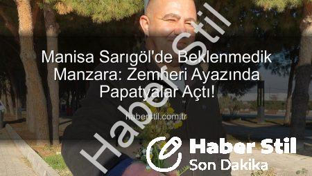 Manisa Sarıgöl’de Beklenmedik Manzara: Zemheri Ayazında Papatyalar Açtı!